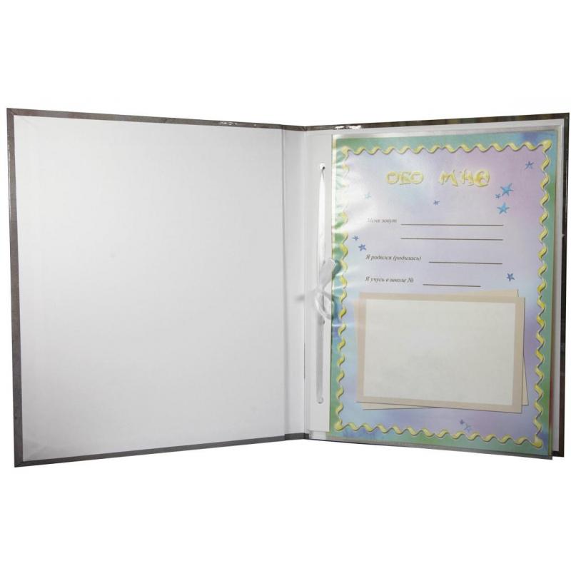 Портфолио школьн ламинир Кубок с гребешками с цв листами в файлах 14шт