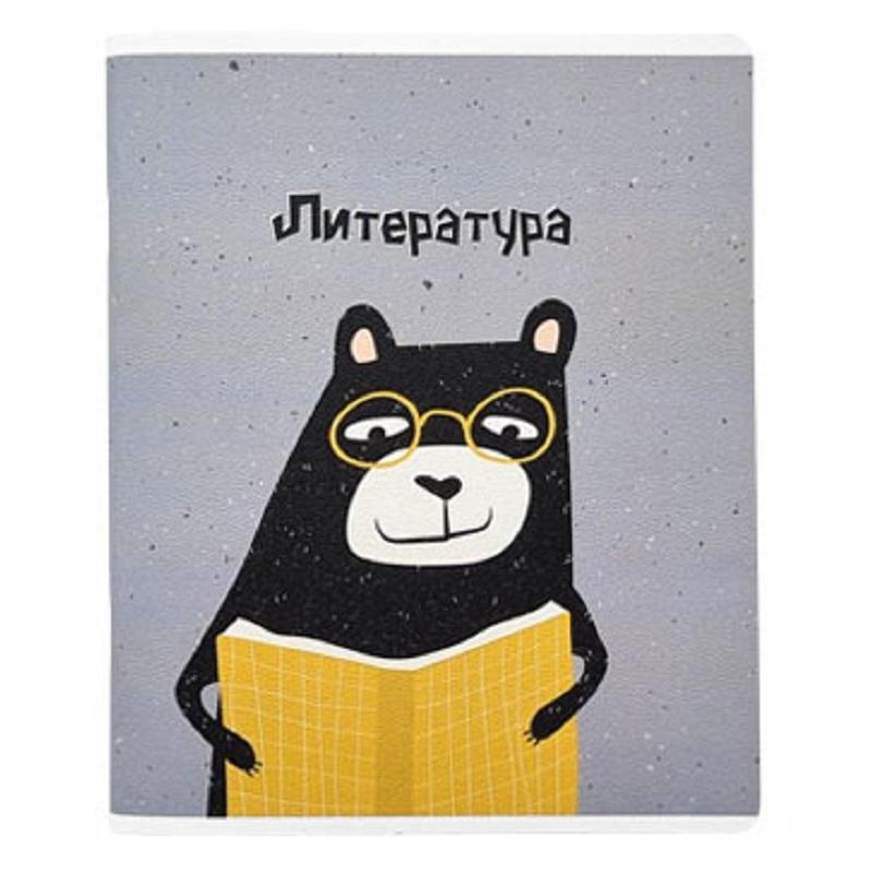 Набор Тетрадей предметных Be Smart А5 48л 12шт Silly N3220-3231