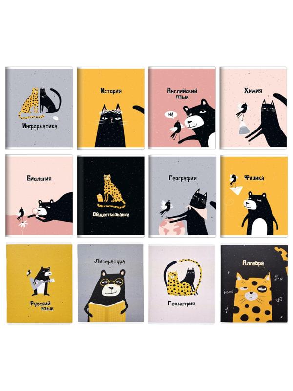 Набор Тетрадей предметных Be Smart А5 48л 12шт Silly N3220-3231