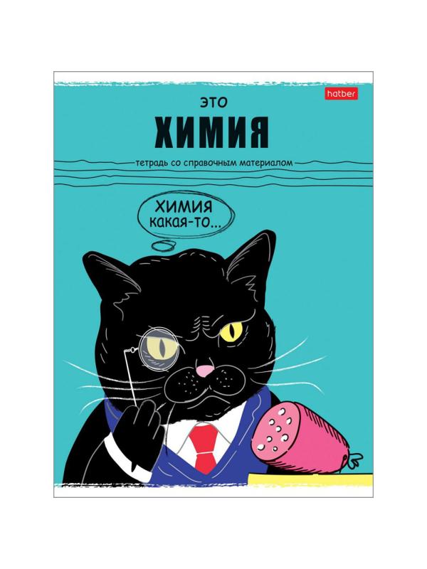 Тетрадь предметная А5,48л,Черный кот ХИМИЯ 073106