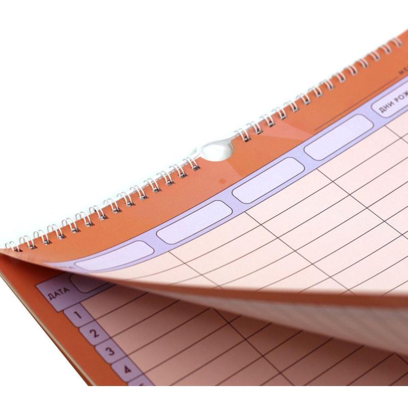 Расписание уроков Планер,6л, Family time, 280х435, ПС22601