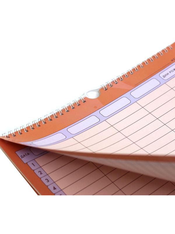 Расписание уроков Планер,6л, Family time, 280х435, ПС22601