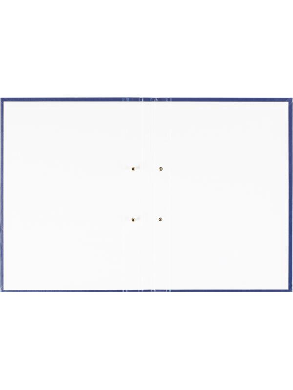 Папка ДИПЛОМНЫЙ ПРОЕКТ А4 бумвинил синяя (метал.болт)