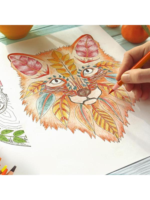 Карандаши цветные Deli липа 48 цв/наб мет.кор. 6567