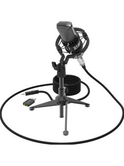 Микрофон Ritmix RDM-160 Black