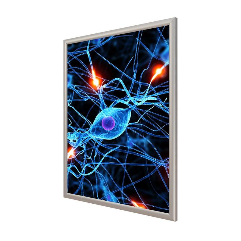 Панель световая ProMEGA Frame LED 1стор к стене А2+(450х624)раз.пл. 420х594