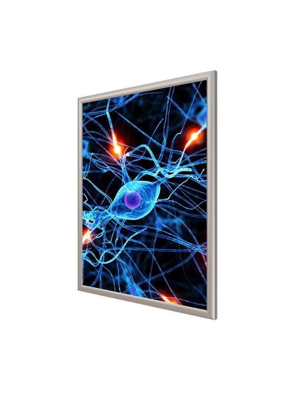 Панель световая ProMEGA Frame LED 1стор к стене А1+(624х871)раз.пл. 594х841