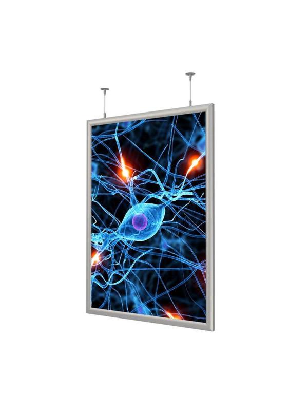 Панель световая ProMEGA Frame LED 1стор тросы А2+ (450х624) раз.пл. 420х594