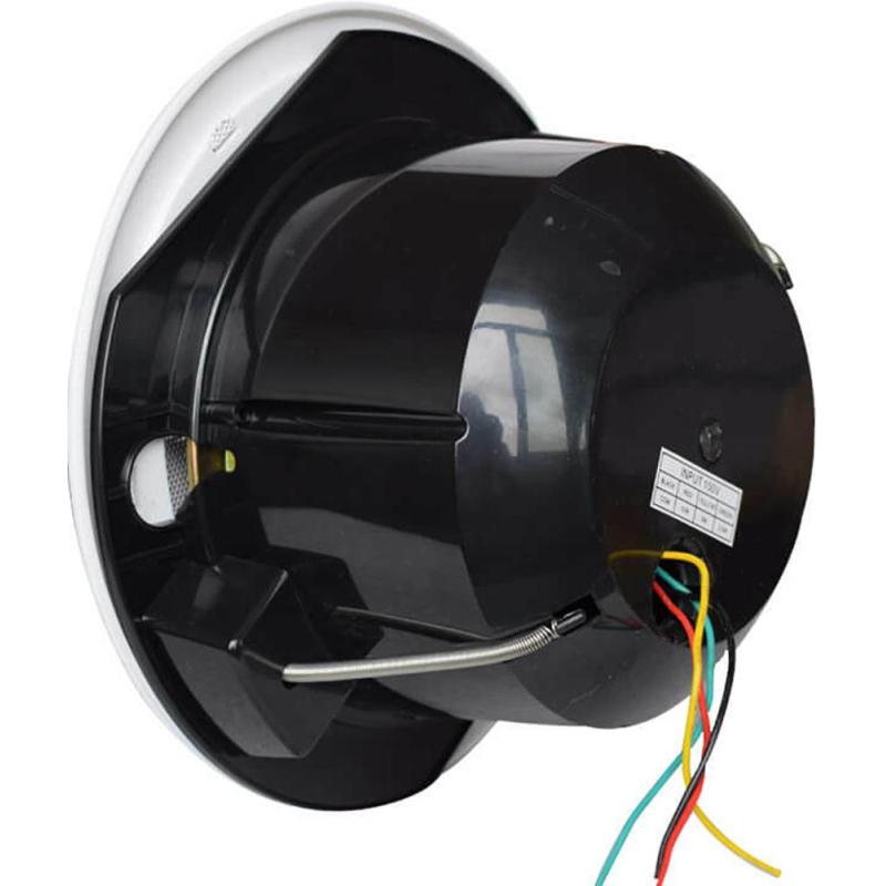 Громкоговоритель Tantos TSo-PW10k