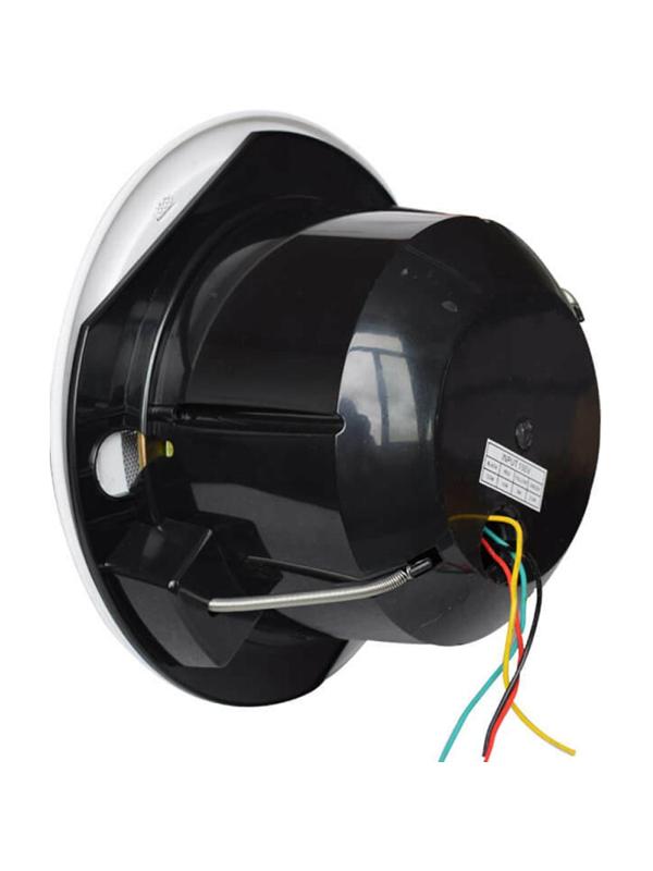 Громкоговоритель Tantos TSo-PW10k