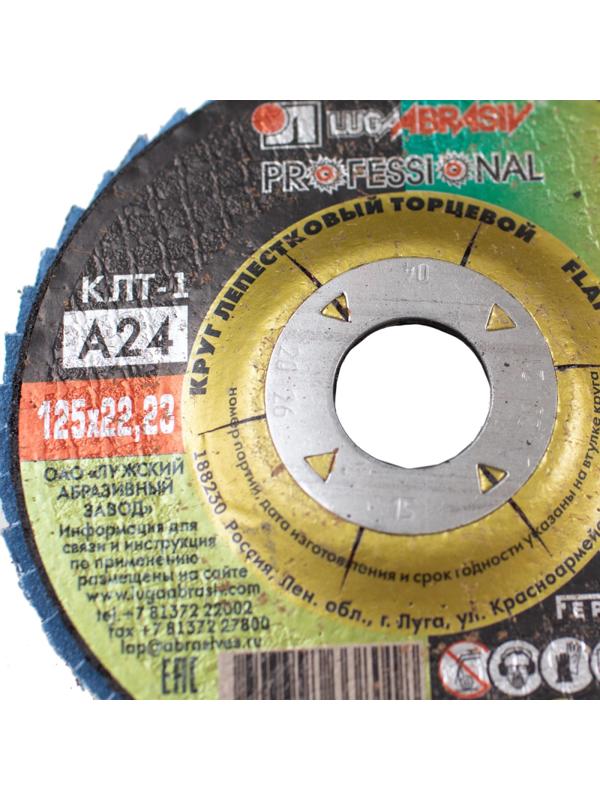 Круг лепестковый торцевой ЛУГА d125х22.2мм, Р100, КЛТ1,10шт/упак. (7789)