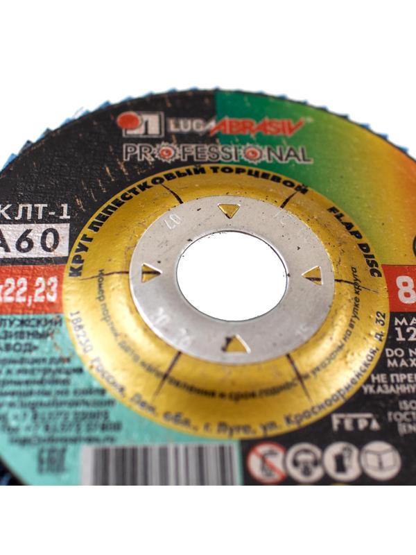 Круг лепестковый торцевой ЛУГА d125х22.2мм, Р60, КЛТ1, 10шт/упак. (2315)