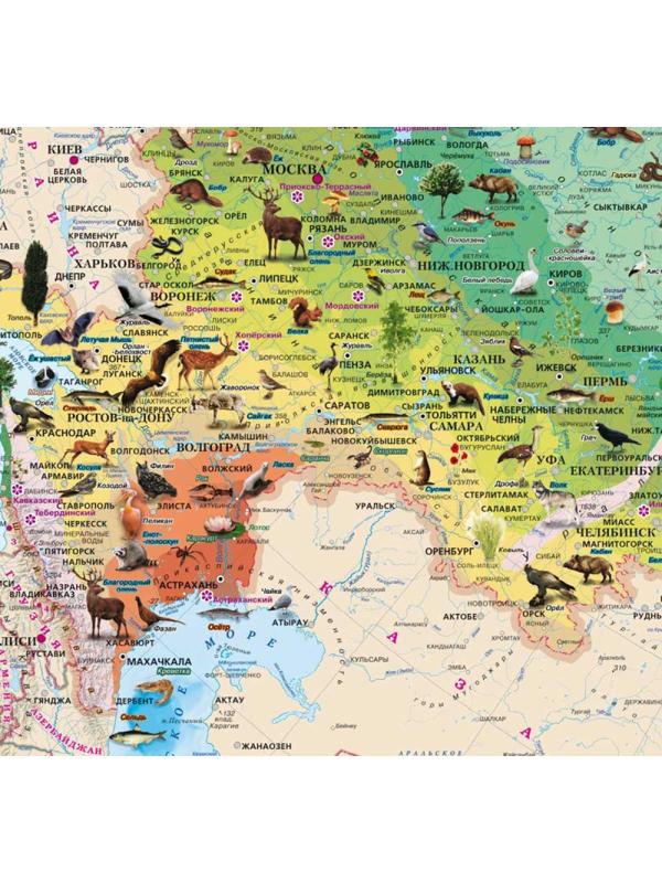 Настенная карта Россия. Природные зоны, животные и растения 1,43х1,02м,КН82