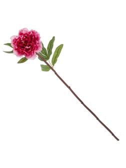 Цветок искусственный Пион, L10 W10 H48 см772432