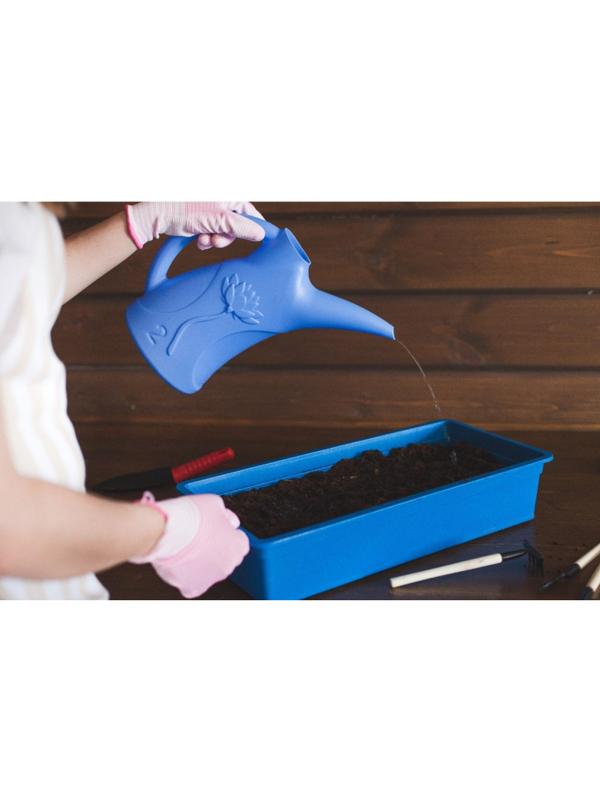 Лейка без рассеивателя, 2 л, МИКС, 'Лотос', 3246789