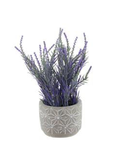 Композиция цветочная, L15 W15 H28 см, 2в.,756225