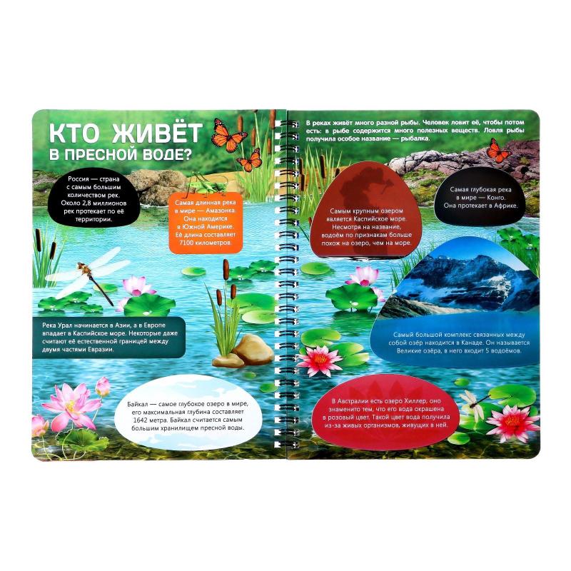 Книга с прозр.стр. Жизнь на земле. Животные и где они обитают 32стр 7090285