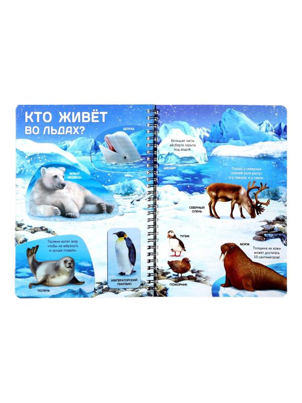 Книга с прозр.стр. Жизнь на земле. Животные и где они обитают 32стр 7090285