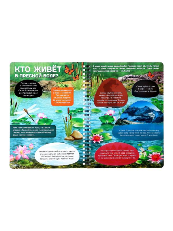 Книга с прозр.стр. Жизнь на земле. Животные и где они обитают 32стр 7090285