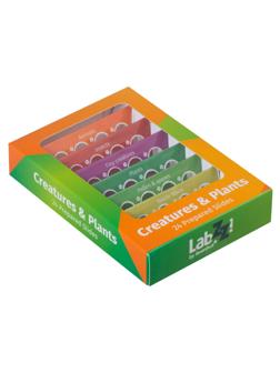 Набор микропрепаратов Levenhuk LabZZ CP24, существа и растения 72870