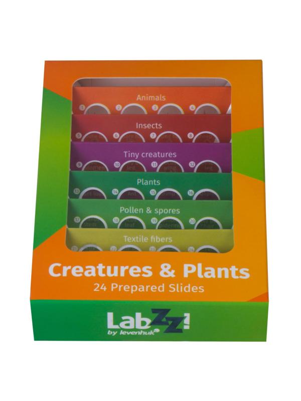 Набор микропрепаратов Levenhuk LabZZ CP24, существа и растения 72870