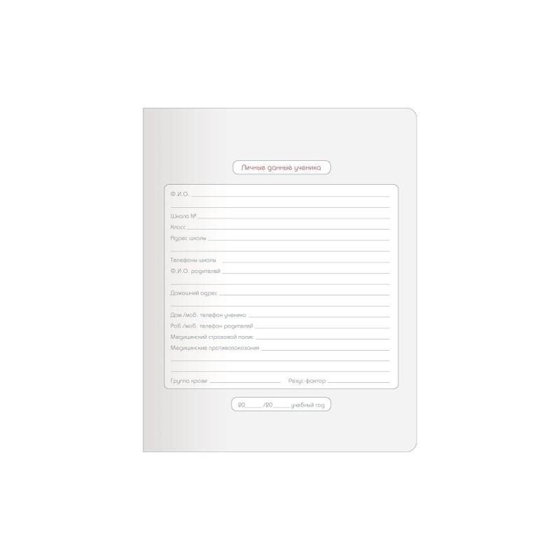 Дневник школьный для ст.класс Be Smart А5, 48 л. мягк.Mur-Mur N3609