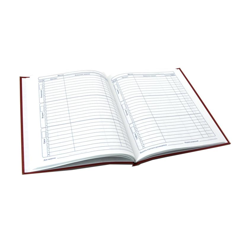 Дневник школьный млад.кл,7БЦ глянц.лам.48л.,Красный,С3212-04