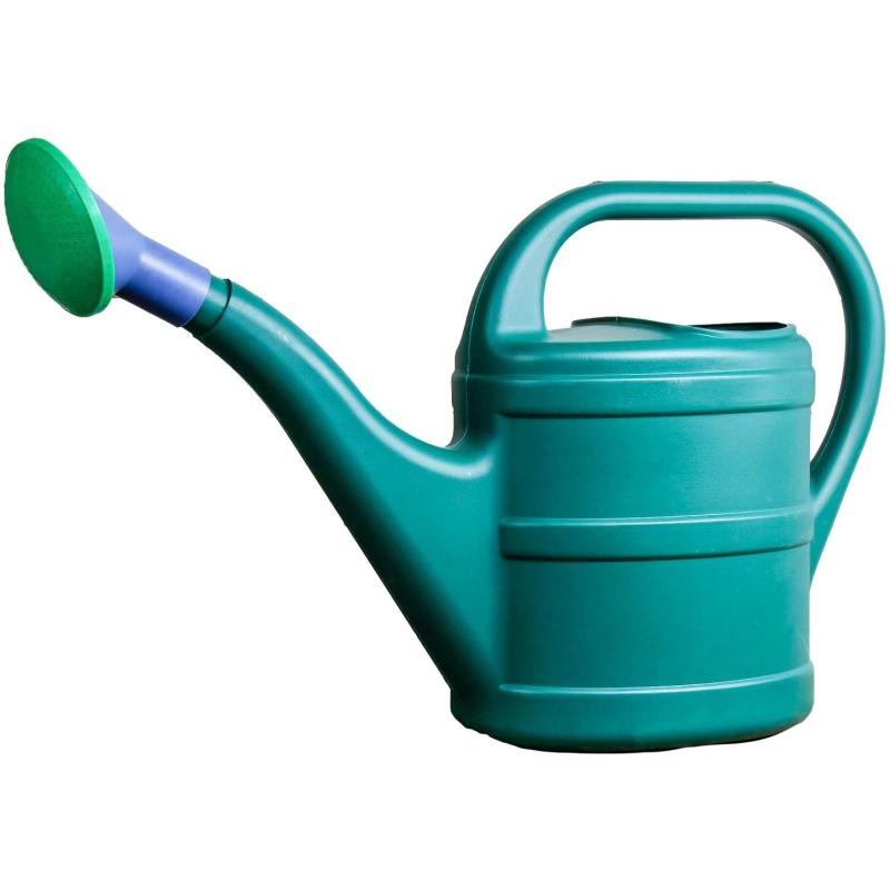 Лейка с рассеивателем, 8 л, цвет МИКС, 1876033