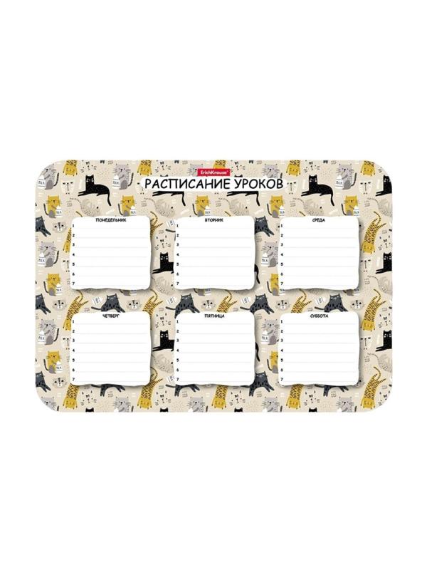 Расписание уроков пластиковое ErichKrause,Lying Cats, А4,58306