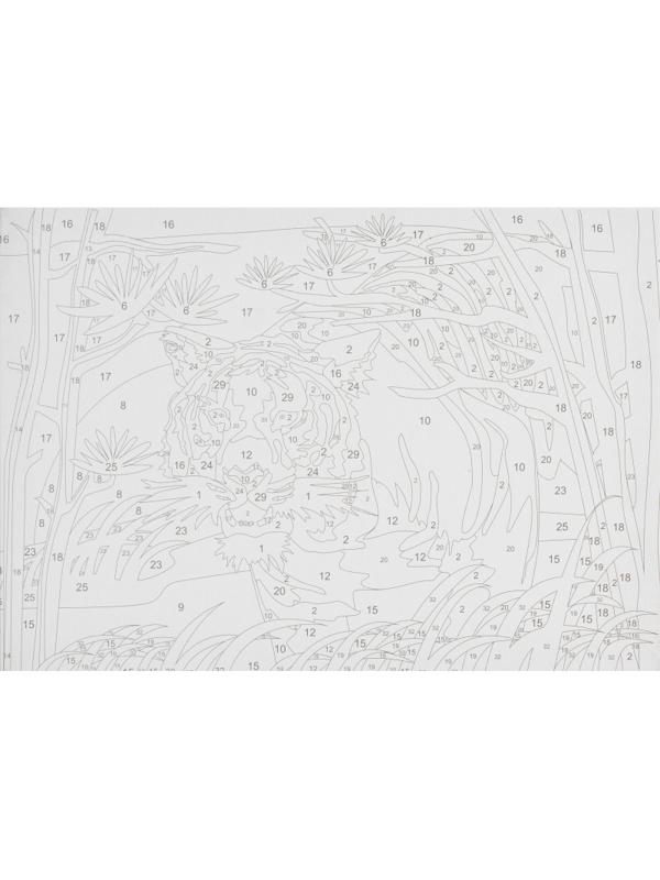 Картина по номерам для малышей Гордый тигр набор Ркн-077