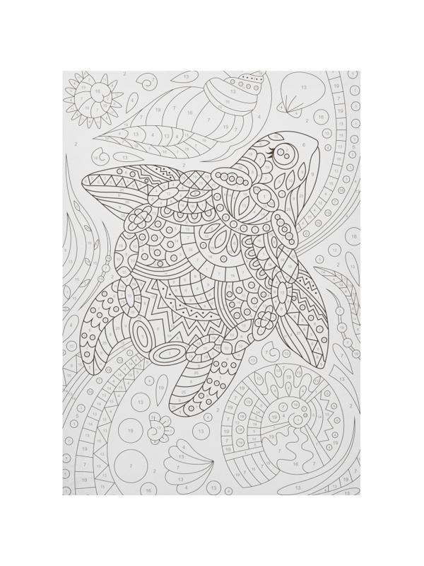 Картина по номерам для малышей Черепашка набор Ркн-020