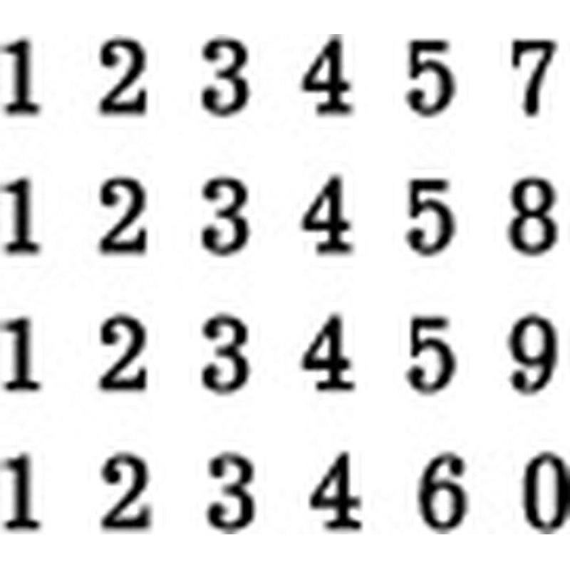 Нумератор автоматический 6-и раз. автомат.пластик.корпус REINER B6K Германи