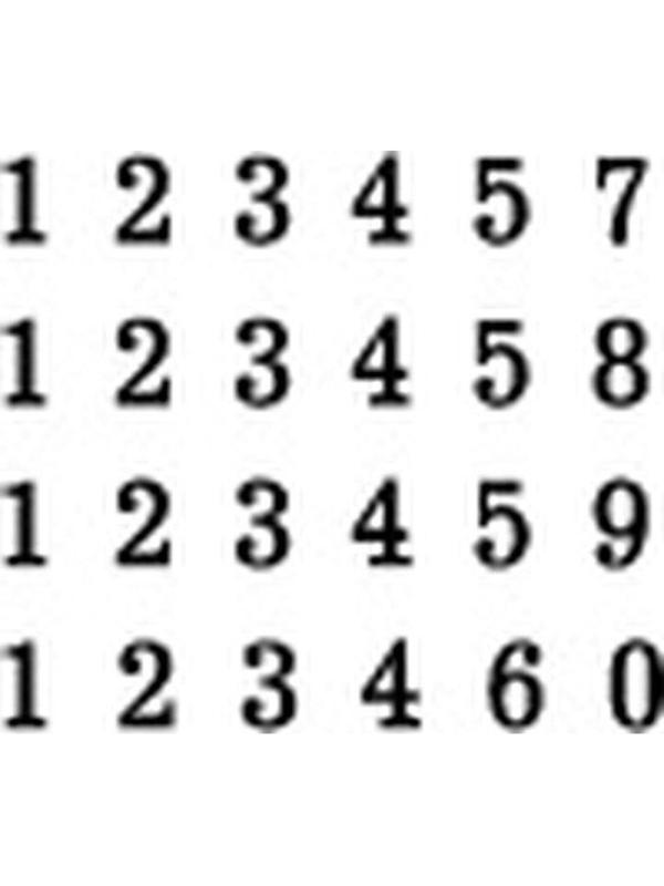 Нумератор автоматический 6-и раз. автомат.пластик.корпус REINER B6K Германи