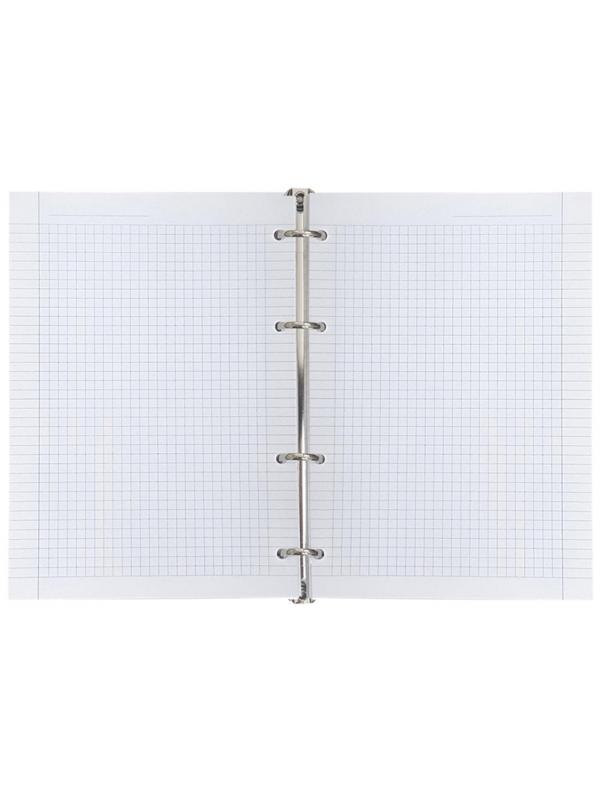 Тетрадь общая А5 120л.клет,кольца,обл.пластик,Infolio Study,Camomiles,N3396