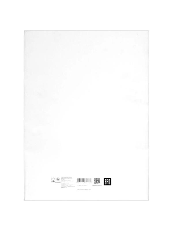 Папка для черчения школьная А4 210х297 200г/м2 24л 3с62