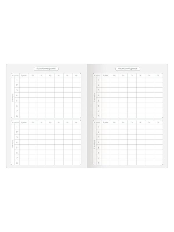 Дневник школьный для ст.класс Be Smart А5, 48 л. мягк.Mur-Mur N3636