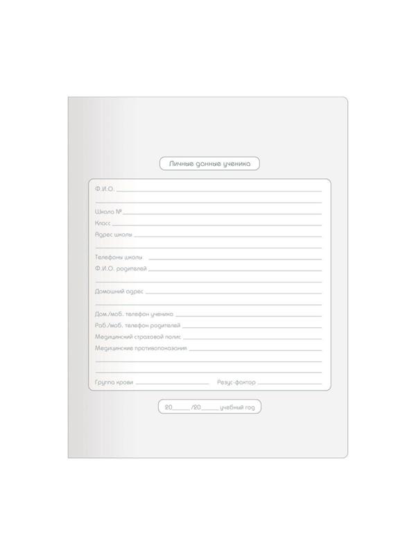 Дневник школьный для ст.класс Be Smart А5, 48 л. мягк.Mur-Mur N3636