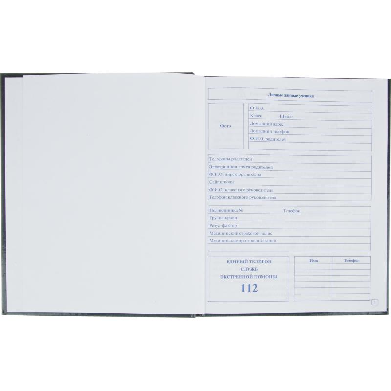 Дневник школьный млад.кл,7БЦ 48л., тисн. фольгой Глобус, С3622-26