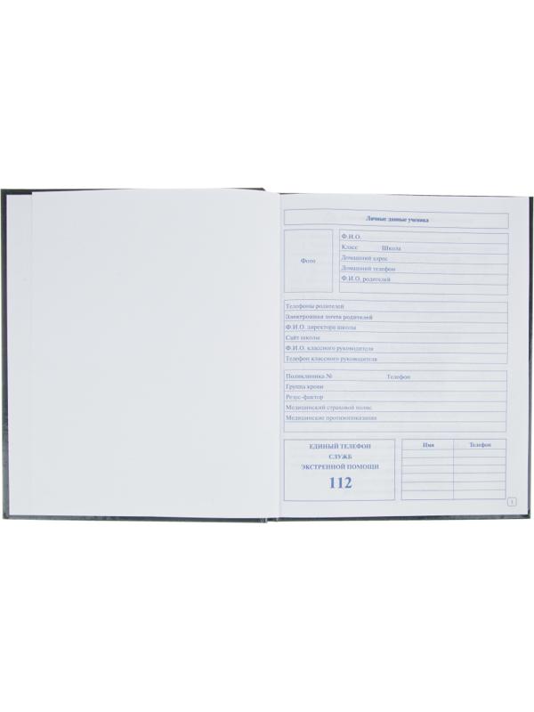 Дневник школьный млад.кл,7БЦ 48л., тисн. фольгой Глобус, С3622-26