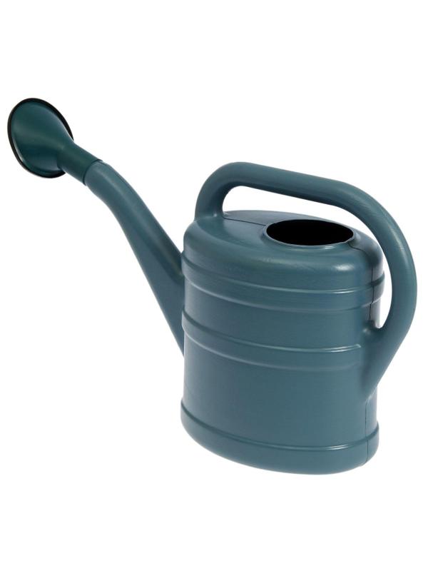 Лейка 10 л, с рассеивателем, цвет МИКС, 'Классика', 1876034