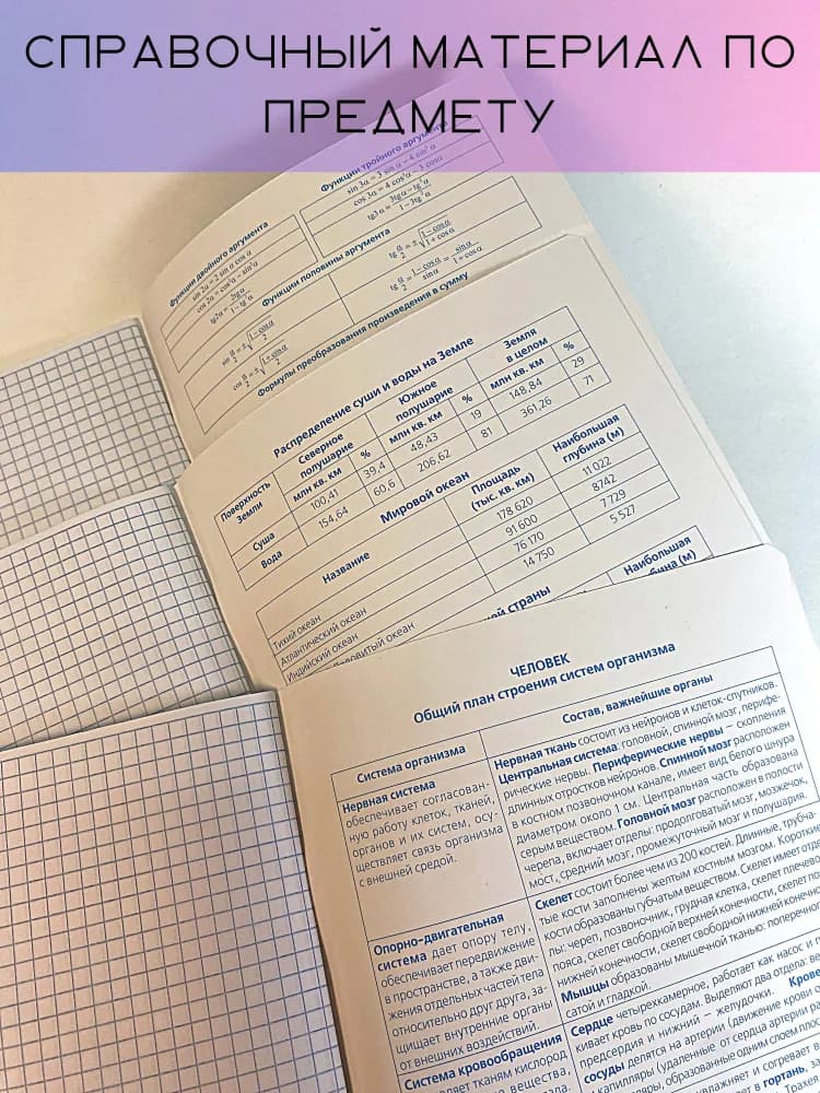 Набор предметных тетрадей №1 School Панк, 48л, А5 / 10 предметов
