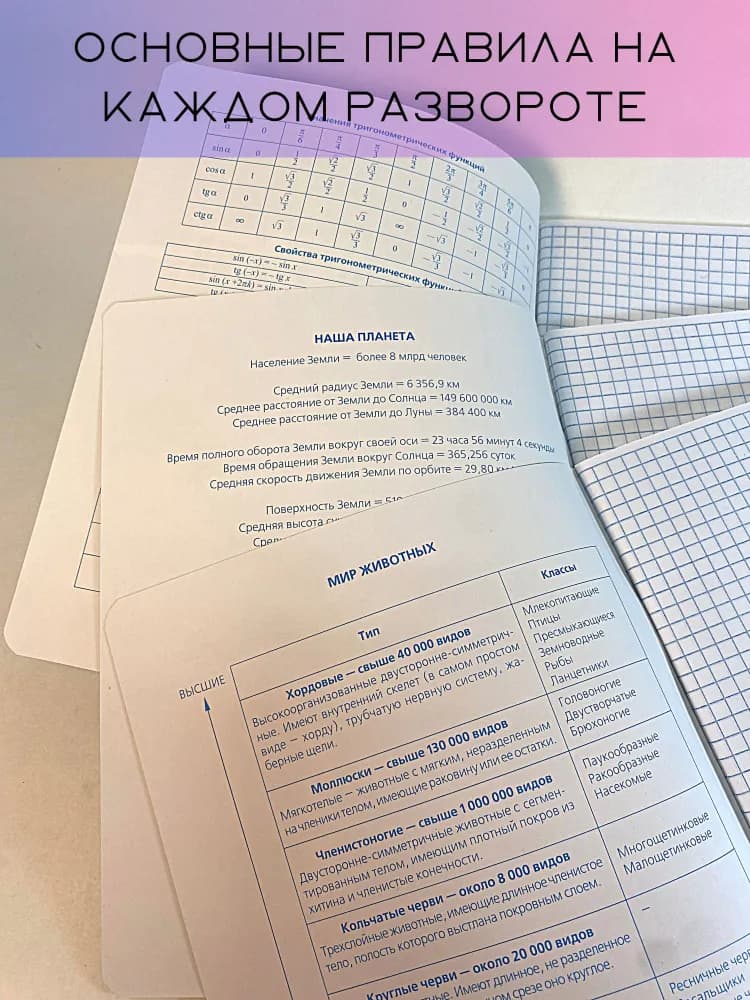 Набор предметных тетрадей №1 School Панк, 48л, А5 / 10 предметов