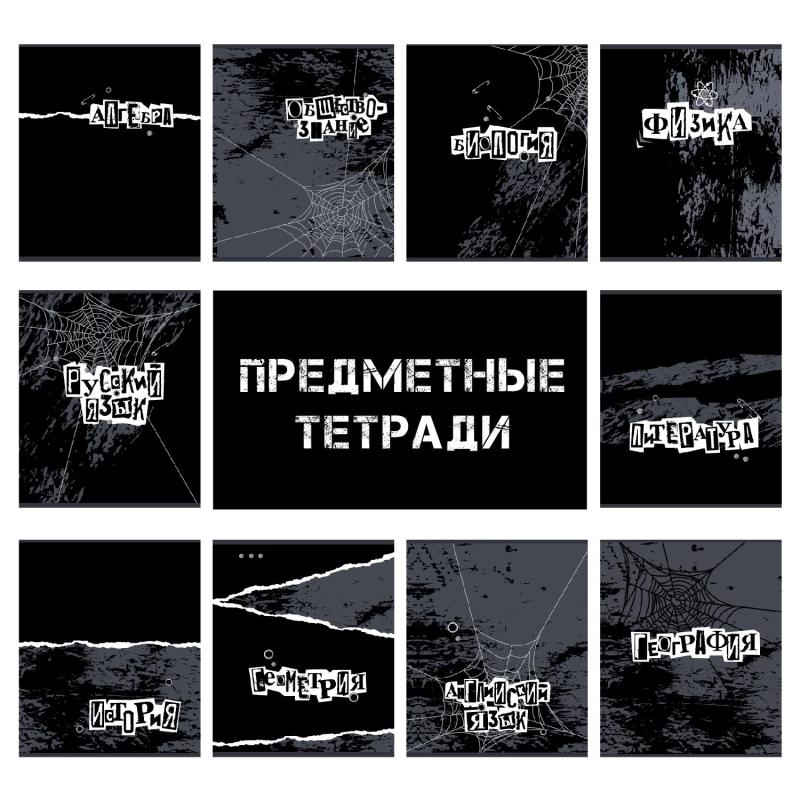 Набор предметных тетрадей №1 School Панк, 48л, А5 / 10 предметов