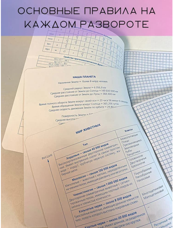 Набор предметных тетрадей №1 School Панк, 48л, А5 / 10 предметов