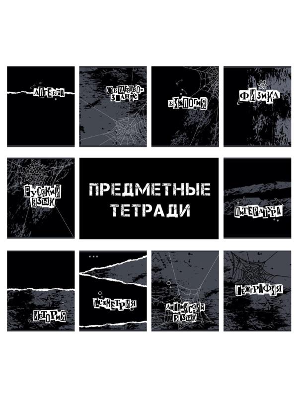 Набор предметных тетрадей №1 School Панк, 48л, А5 / 10 предметов