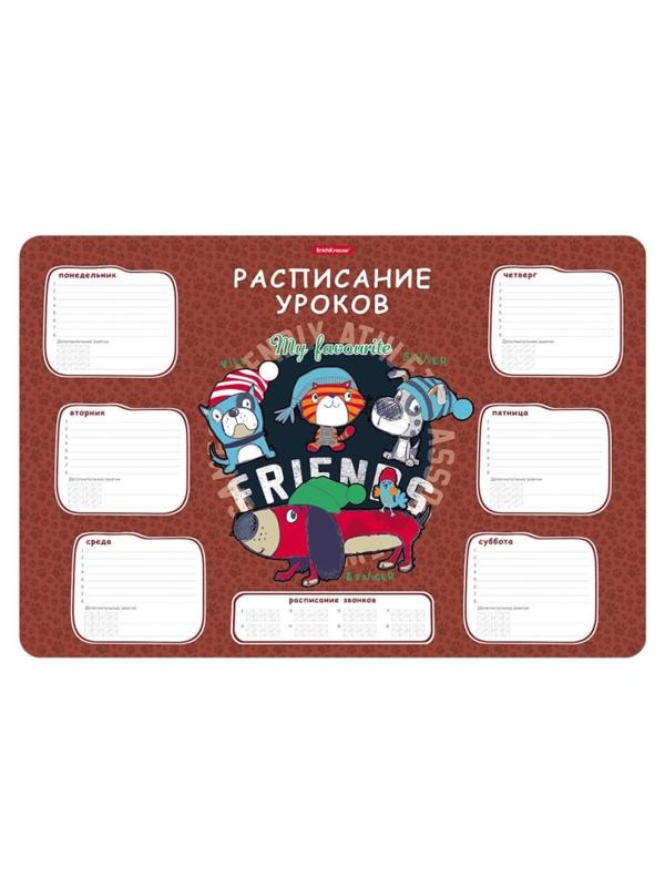 Расписание уроков пластиковое ErichKrause,Adventure Friends, А3,58309