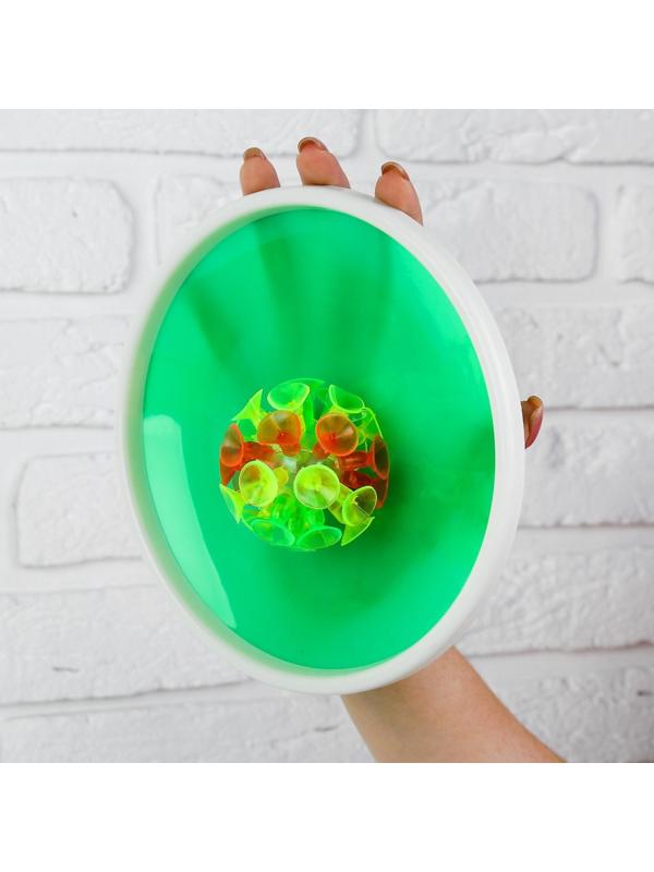 Игра «Липучка», набор: 2 тарелки, мяч, цвета МИКС