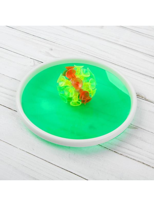 Игра «Липучка», набор: 2 тарелки, мяч, цвета МИКС
