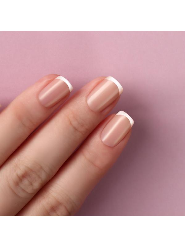 Трафареты для декора «Френч», 2 вида, фасовка 6 шт