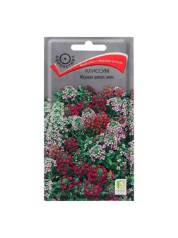 Семена цветов Алиссум 